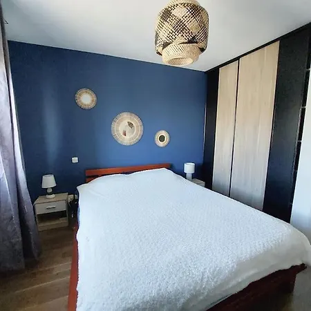 Maison Climatisee Tout Confort Avec Piscine A Albi
