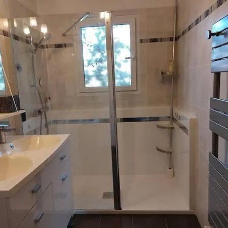 Maison Climatisee Tout Confort Avec Piscine A 4* Albi