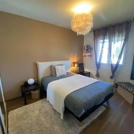 Maison Climatisee Tout Confort Avec Piscine A Hotel Albi
