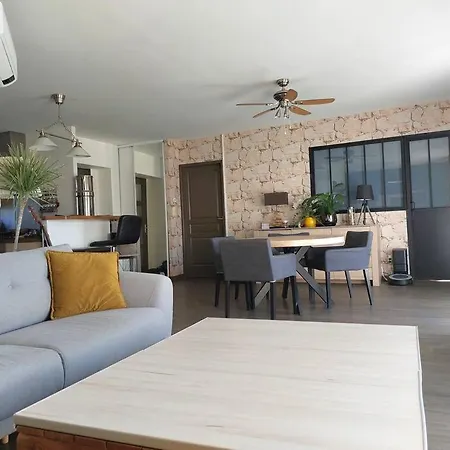 Maison Climatisee Tout Confort Avec Piscine A Albi
